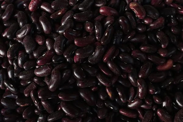 فاصوليا سوداء