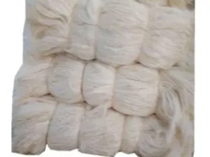 دوبارة سيزال